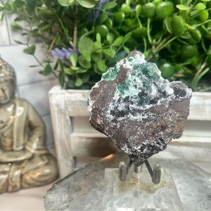 Druzy Malachite on Matrix